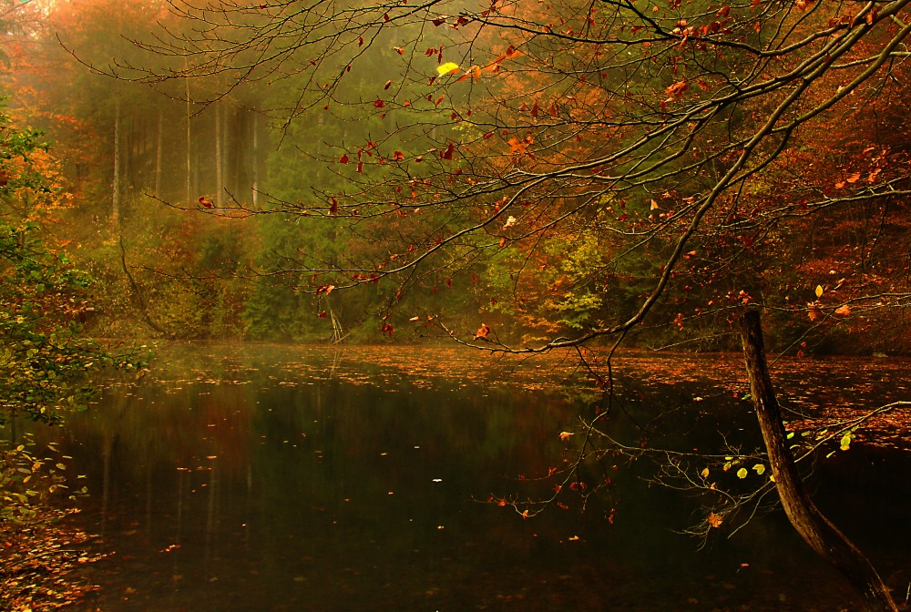 7. Platz Rudi Schmid